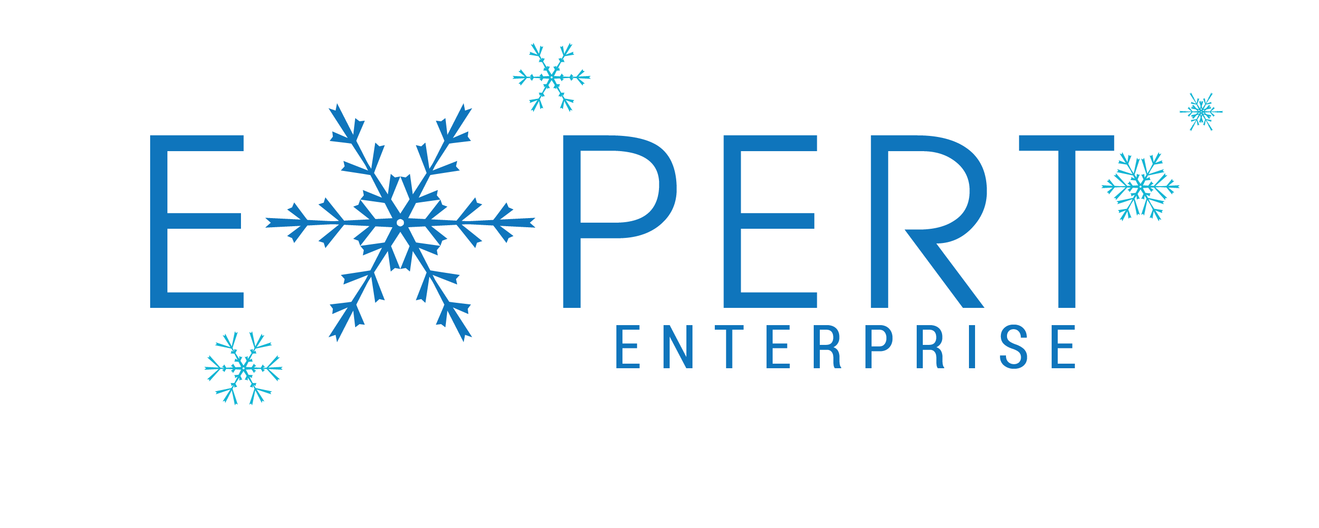 Polo Logo